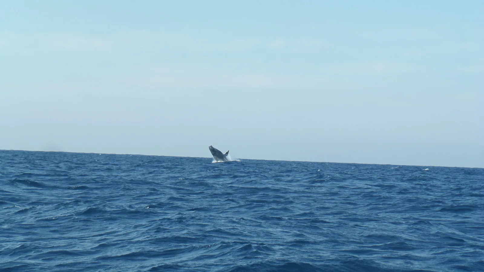 Actividades y experiencias en Durban