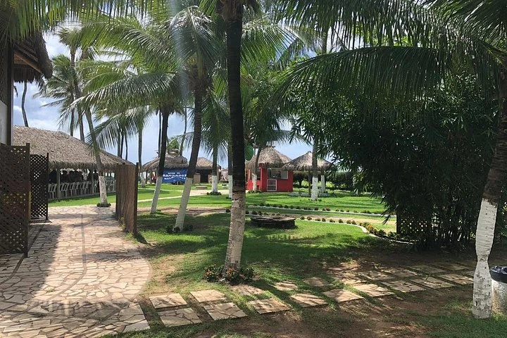 Landscaped path with palms near the coast — Fortaleza urban beach