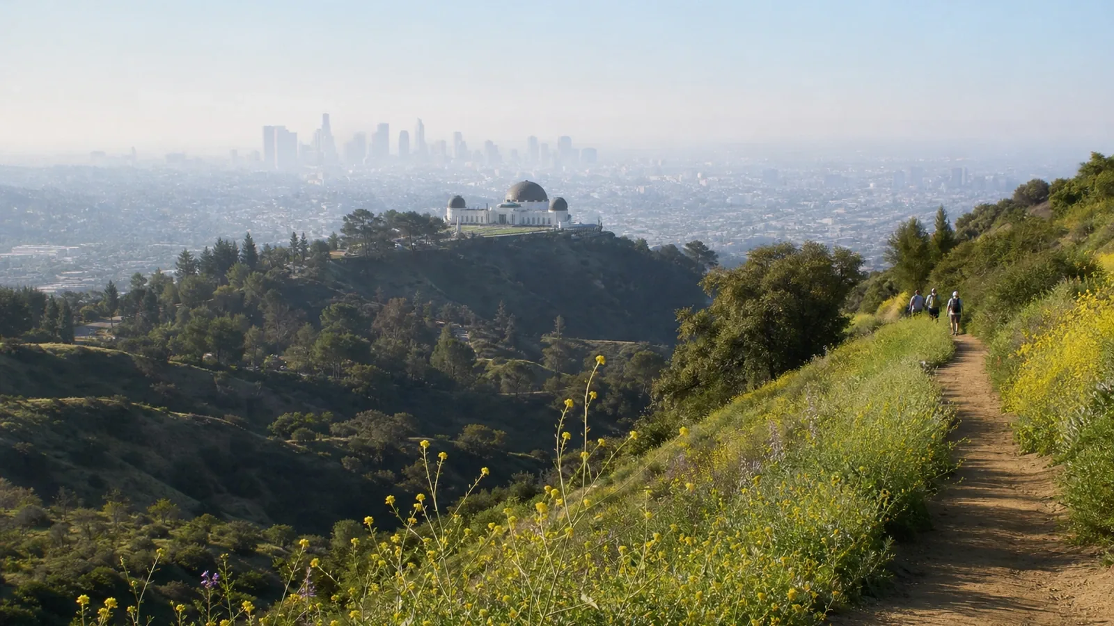 Quelle est la meilleure période pour visiter Los Angeles ?