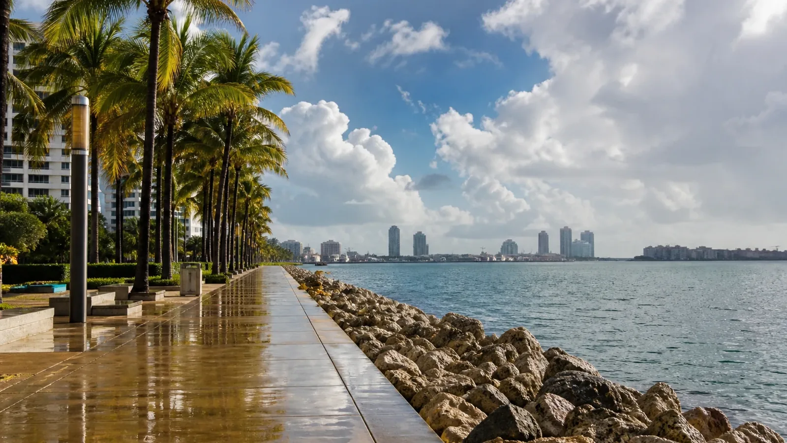 Miami in November: One of the Best Months to Visit