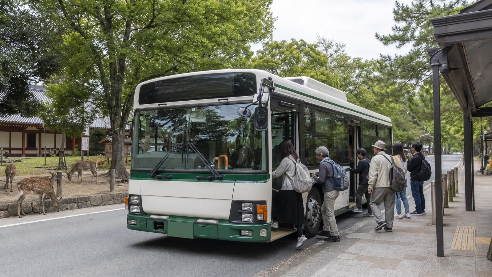 Alquilar bicicleta en Nara: una alternativa cómoda para ciertas rutas