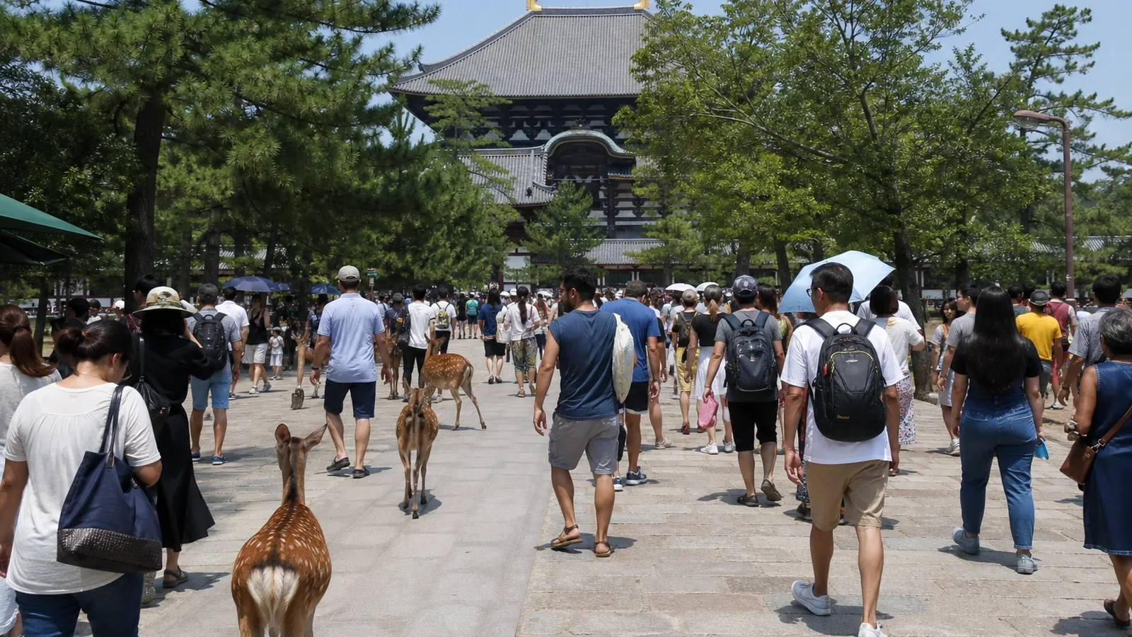 Fehler in Nara vermeiden: So besuchst du die Stadt respektvoll