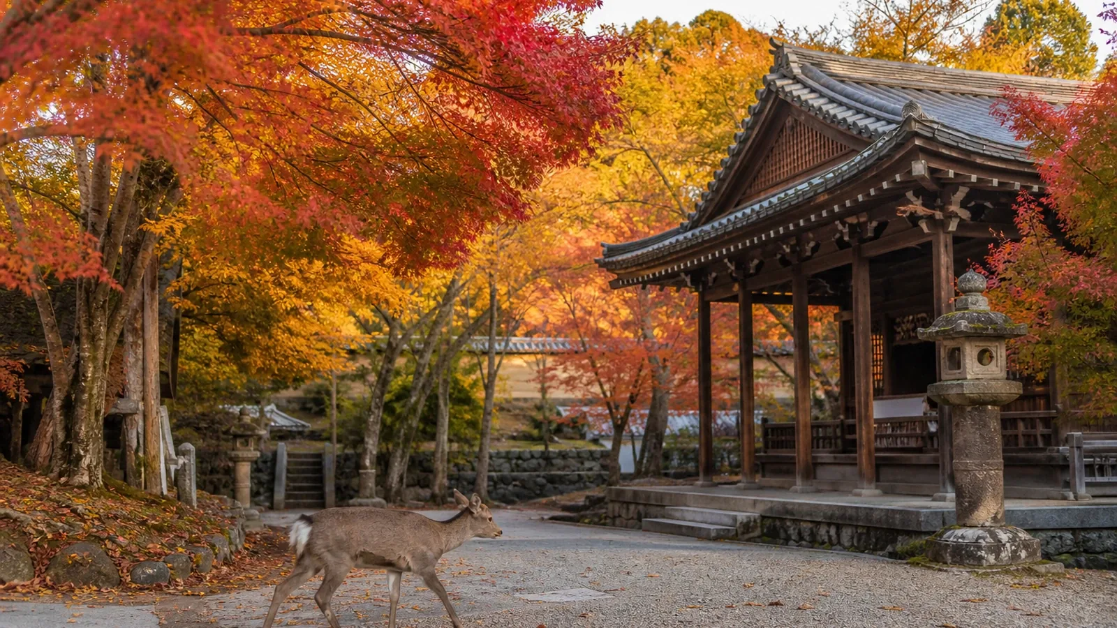 Nara en verano: ¿merece la pena visitarla?