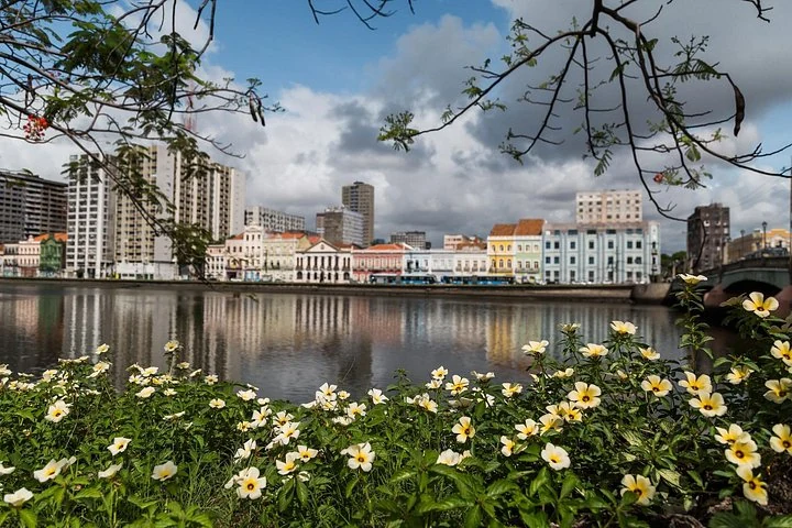 Rua da Aurora de l'autre côté du fleuve Capibaribe avec des fleurs au premier plan