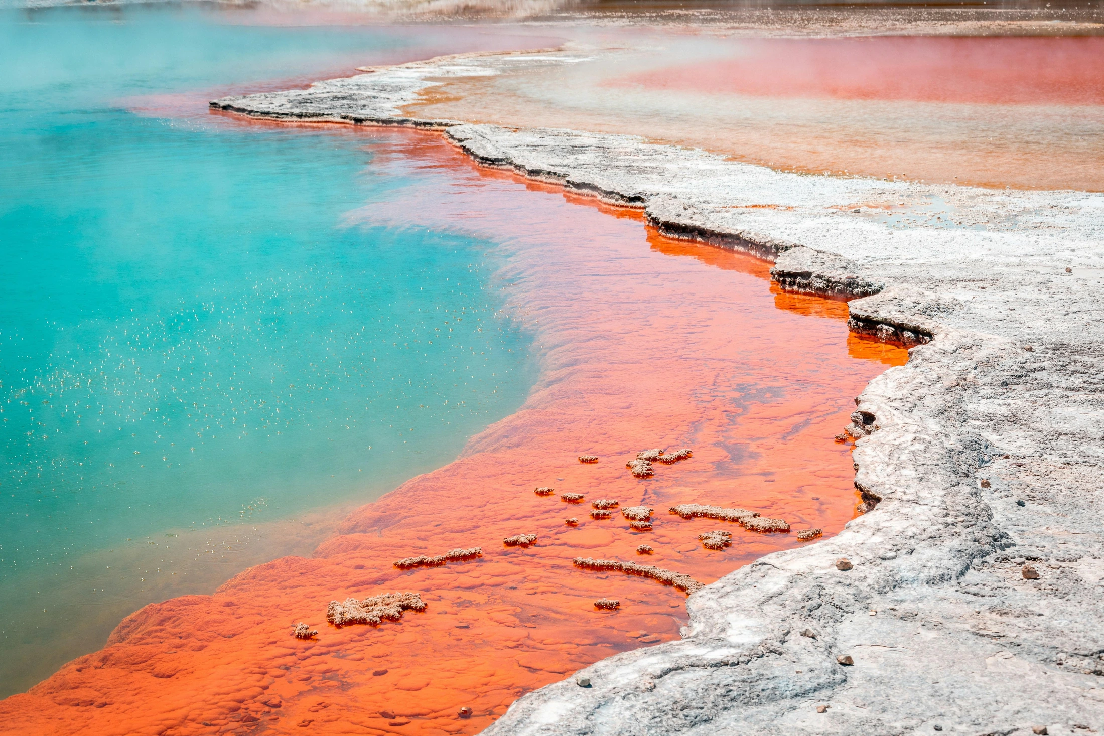 Rotorua: Reiseführer für Landschaft, Kultur und Planung