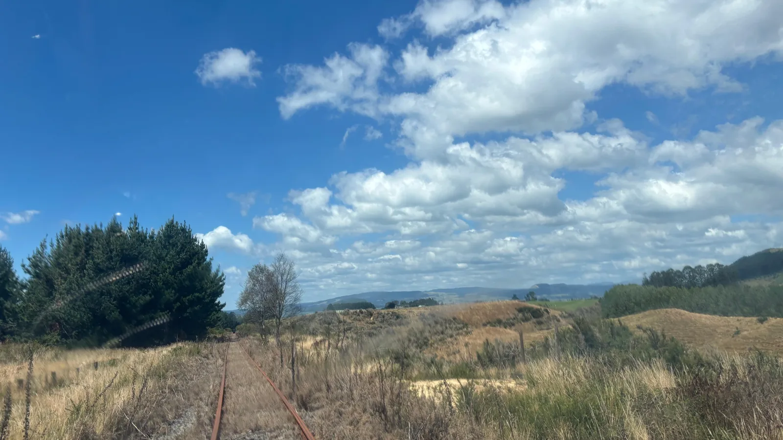 Experiencias en Rotorua