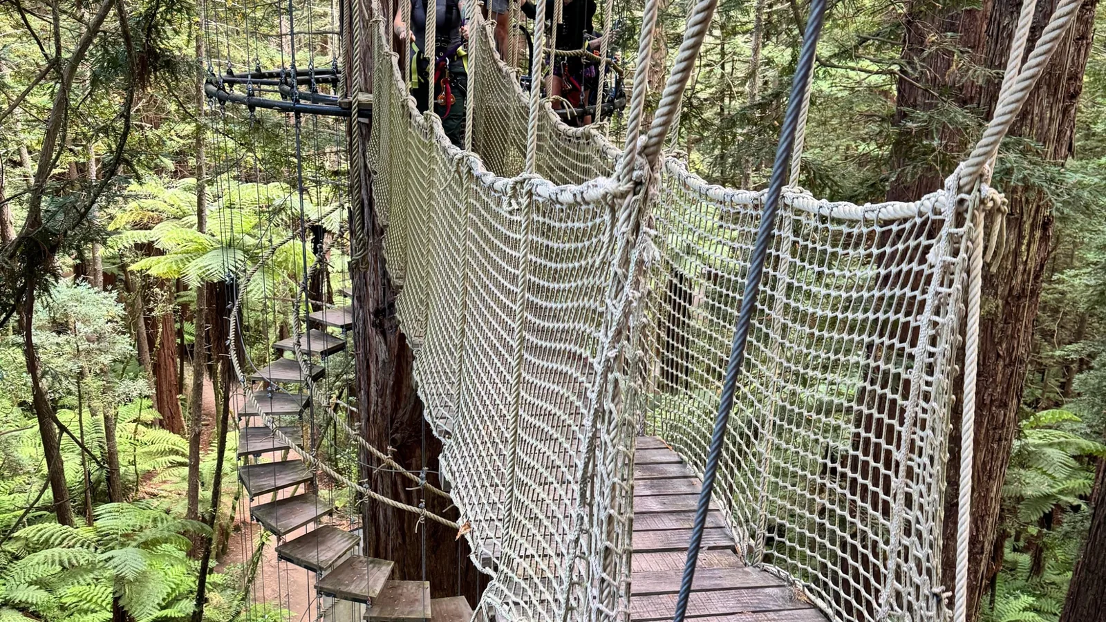 Expériences à Rotorua