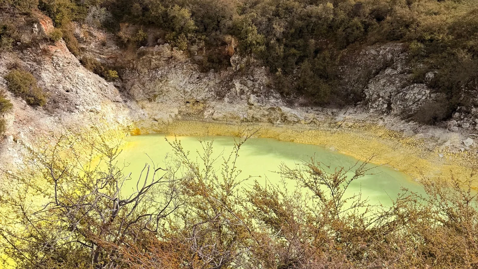 ¿Cuál es la mejor época para viajar a Rotorua?