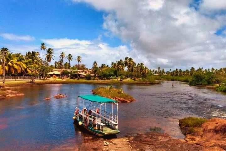 Fährboot auf dem Rio Imbassaí zwischen Palmen