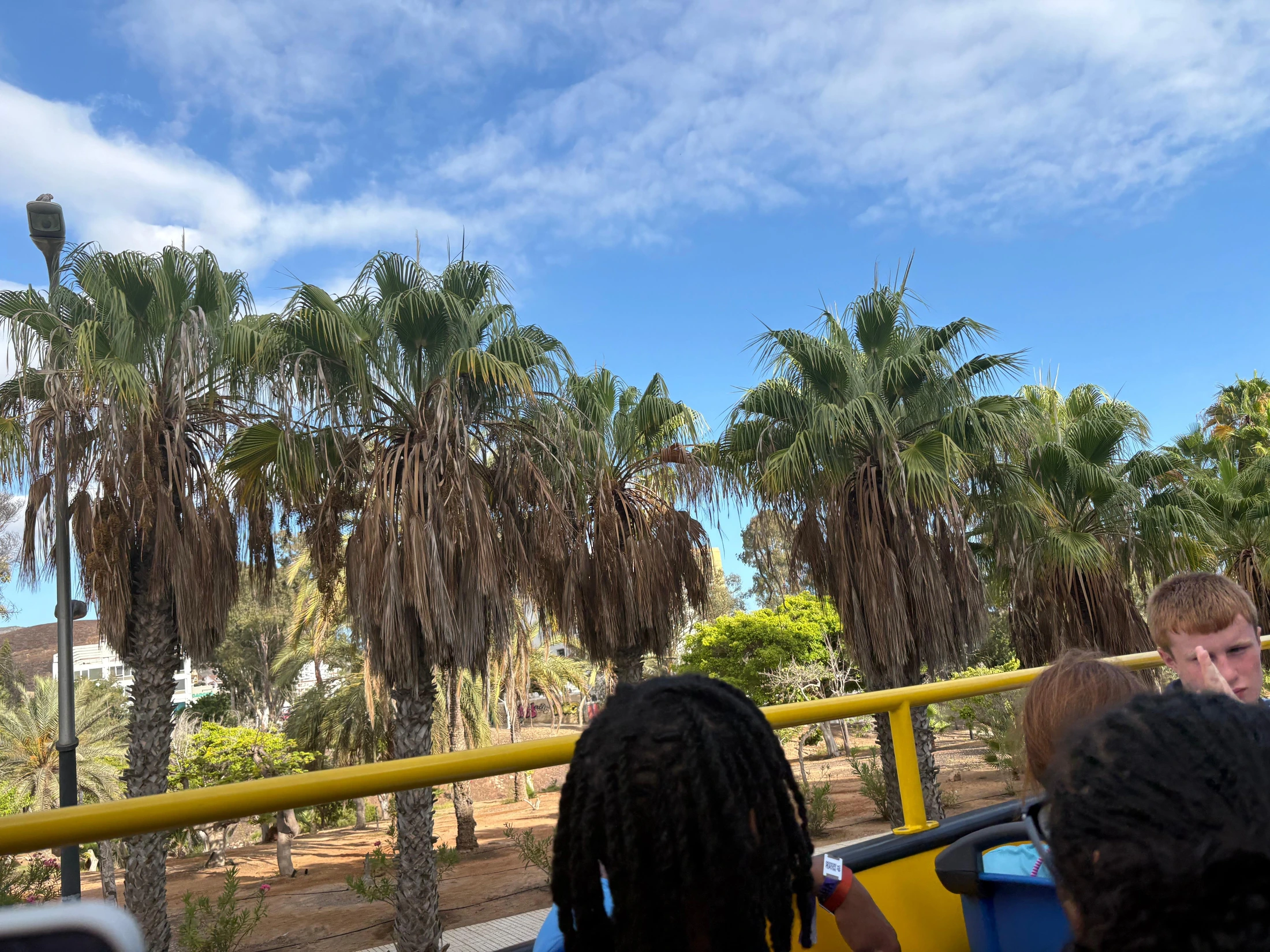 Teneriffa Reiseführer für deine Reiseplanung