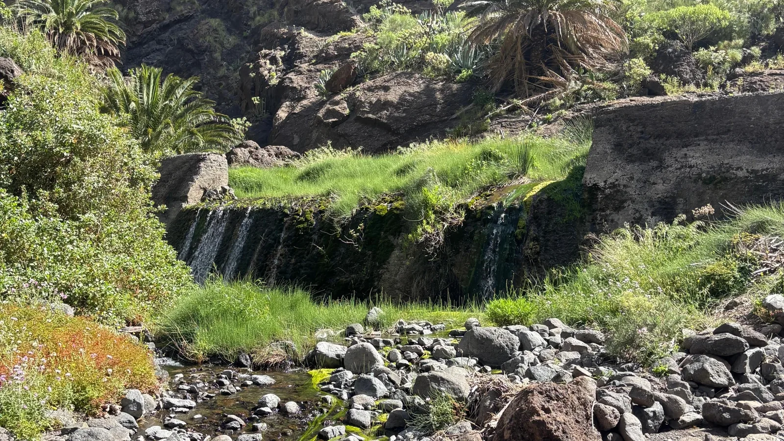 ¿Cuánto dinero necesitas para viajar a Tenerife?