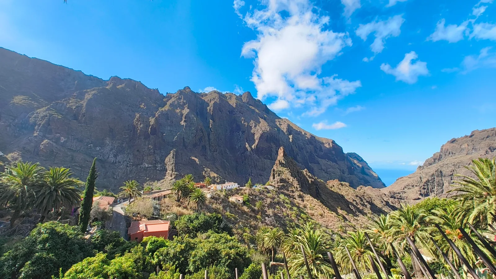 Dónde comer en Tenerife