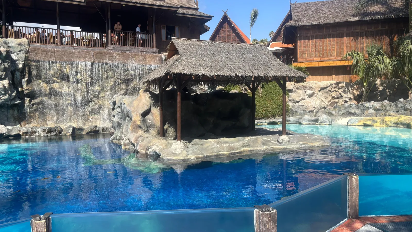 Experiences in Tenerife