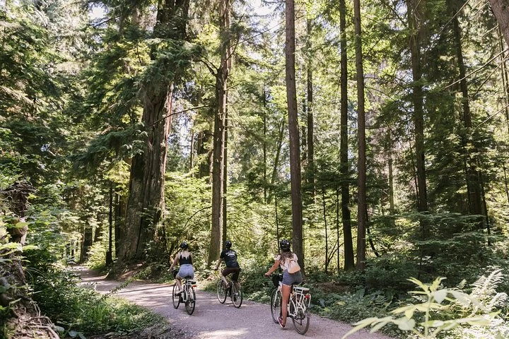 Eine Radgruppe fährt auf einem bewaldeten Weg im Stanley Park.