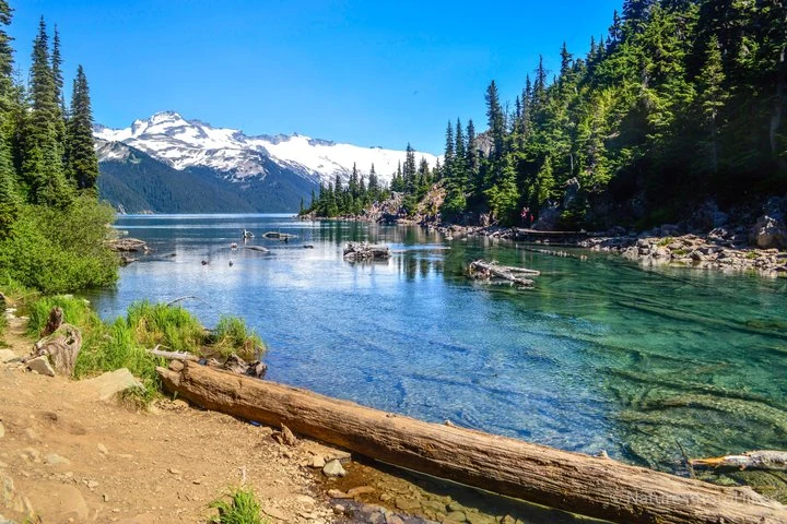 Klares Wasser, Nadelwald und verschneite Berge am Garibaldi Lake bei einem Ausflug außerhalb von Vancouver.