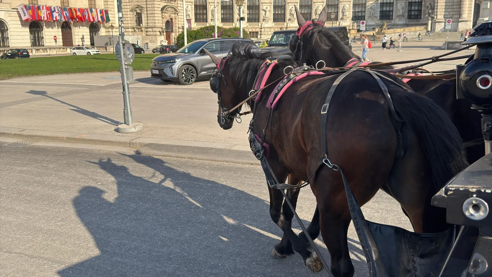 How Much Money Do You Need for a Trip to Vienna?