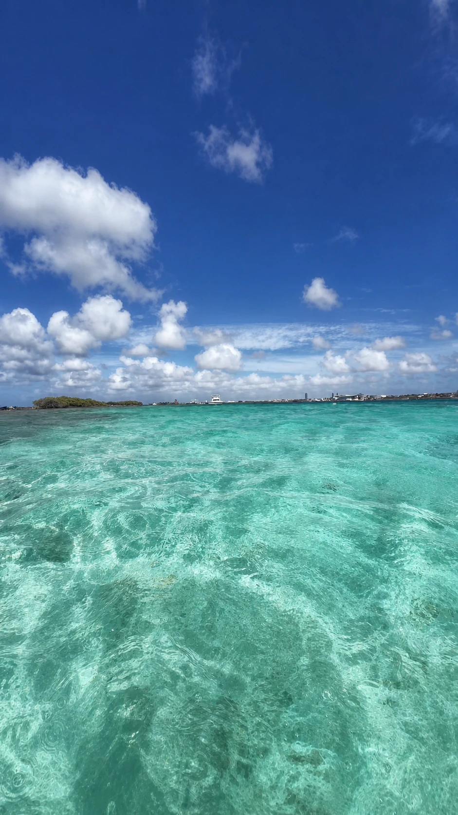 Eau turquoise transparente pendant une sortie snorkeling à Aruba