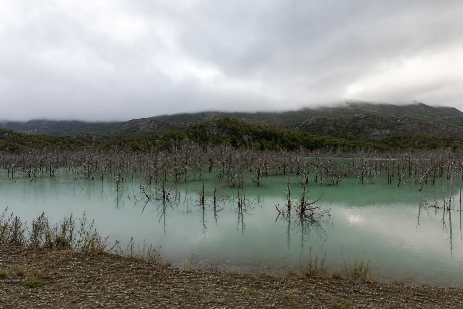 Grüne Lagune und Wald unter tiefen Wolken an der Ruta Exploradores