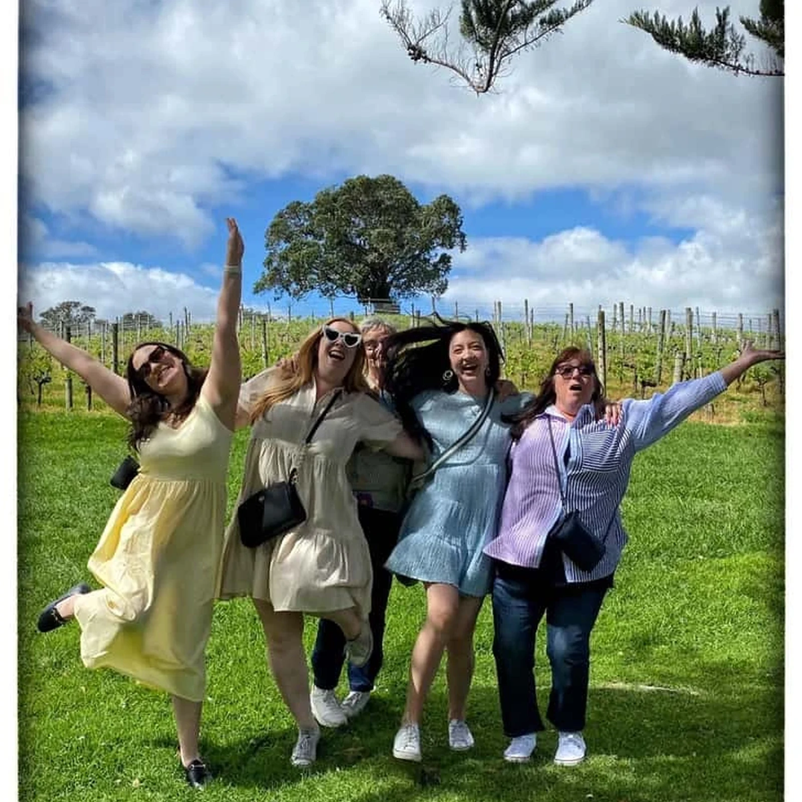 Weingut-Tour auf Waiheke ab Auckland: 4+ Weingüter & Verkostungen
