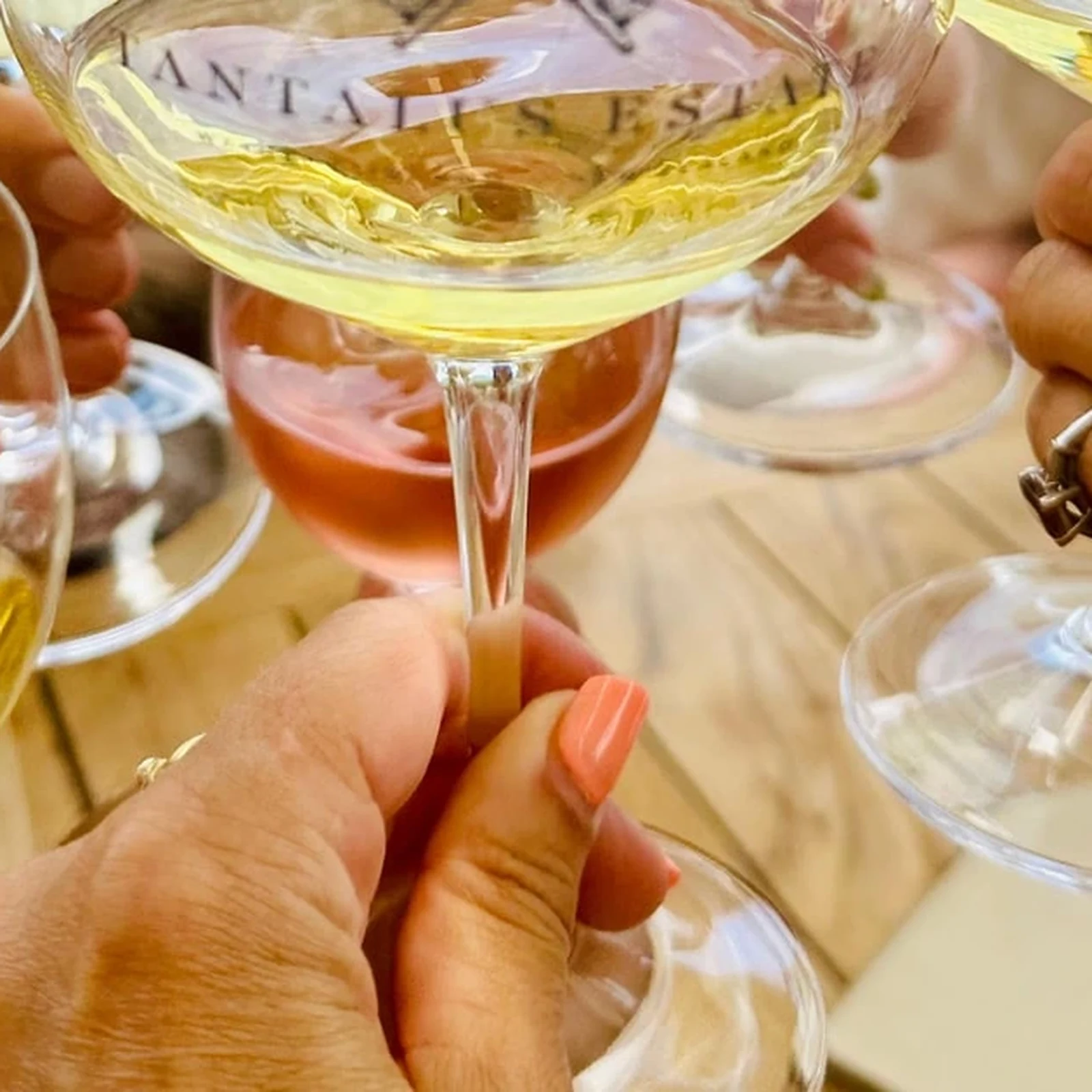 Weingut-Tour auf Waiheke ab Auckland: 4+ Weingüter & Verkostungen
