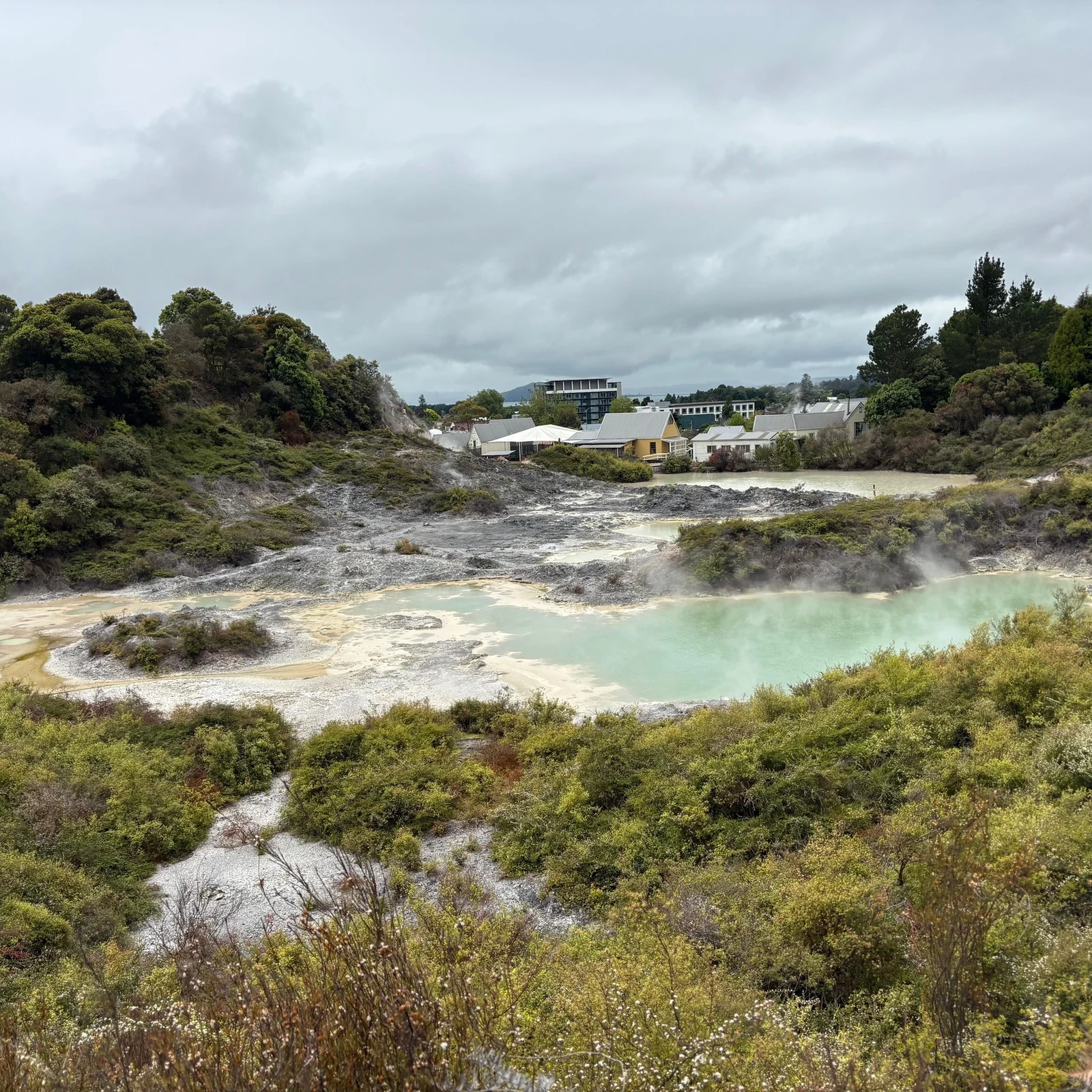 Auckland Waitomo Rotorua Te Puia Small-Group Tour