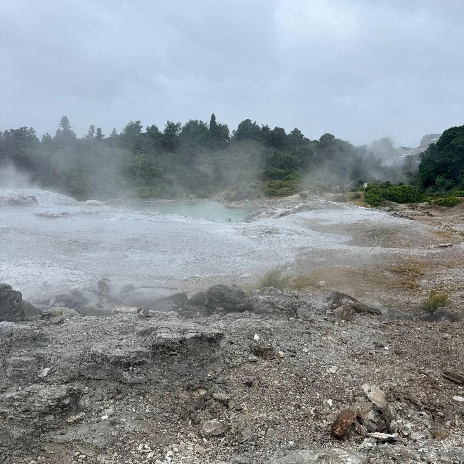 Auckland Waitomo Rotorua Te Puia Small-Group Tour