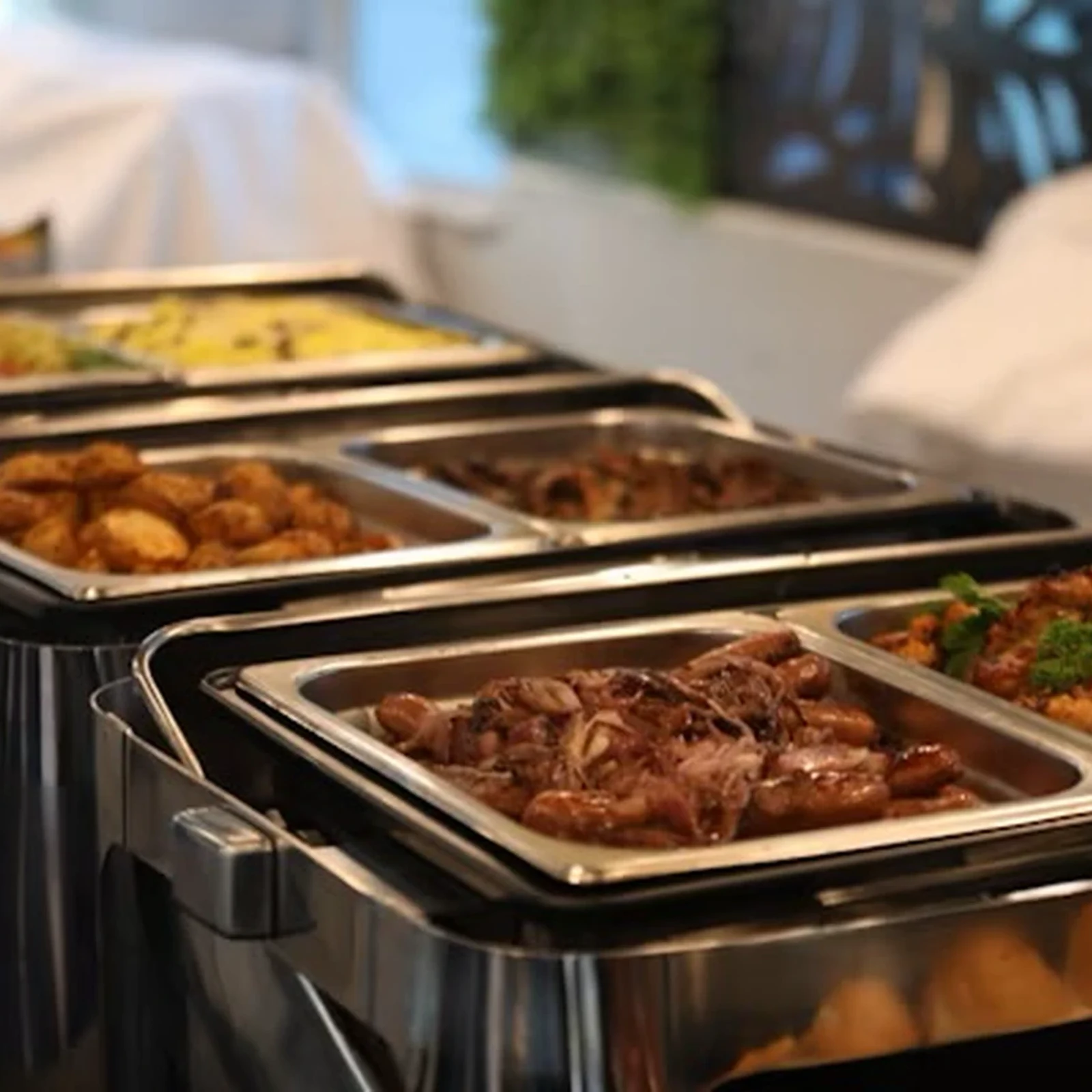 Auckland Harbour Dinner Cruise: Buffet and Night Views