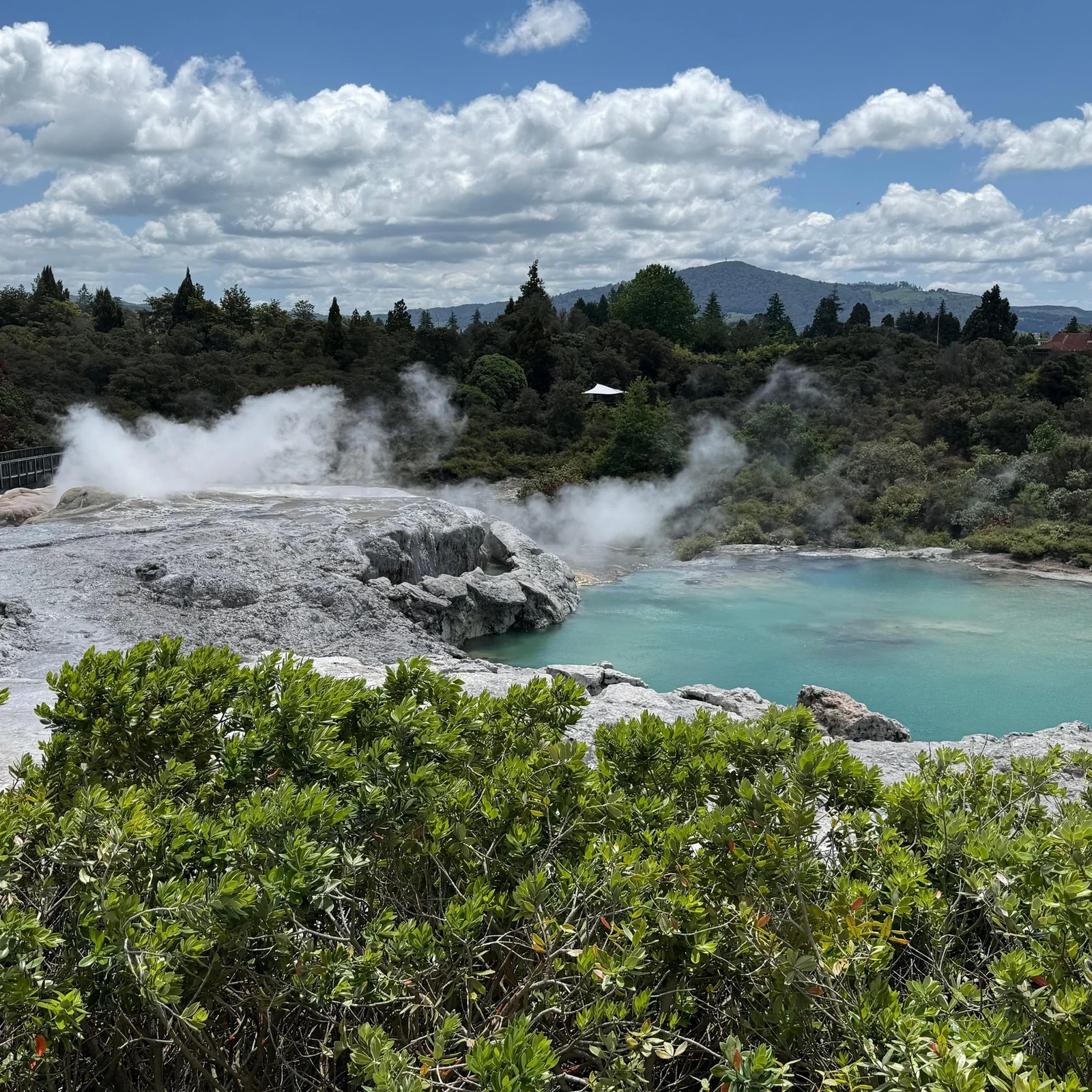 Hobbiton et Te Puia depuis Auckland en une journée
