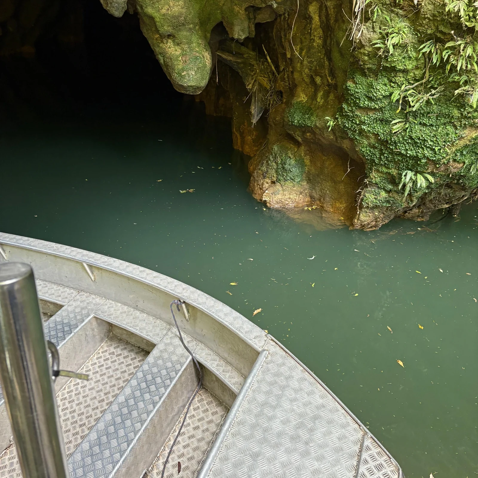 Waitomo depuis Auckland : grottes, guide et bateau