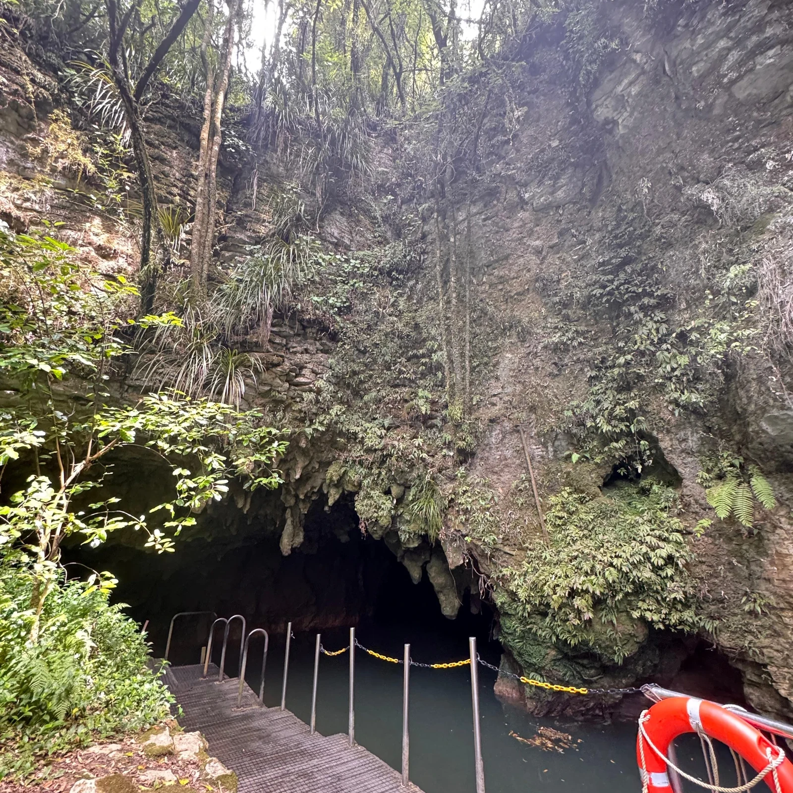 Waitomo depuis Auckland : grottes, guide et bateau