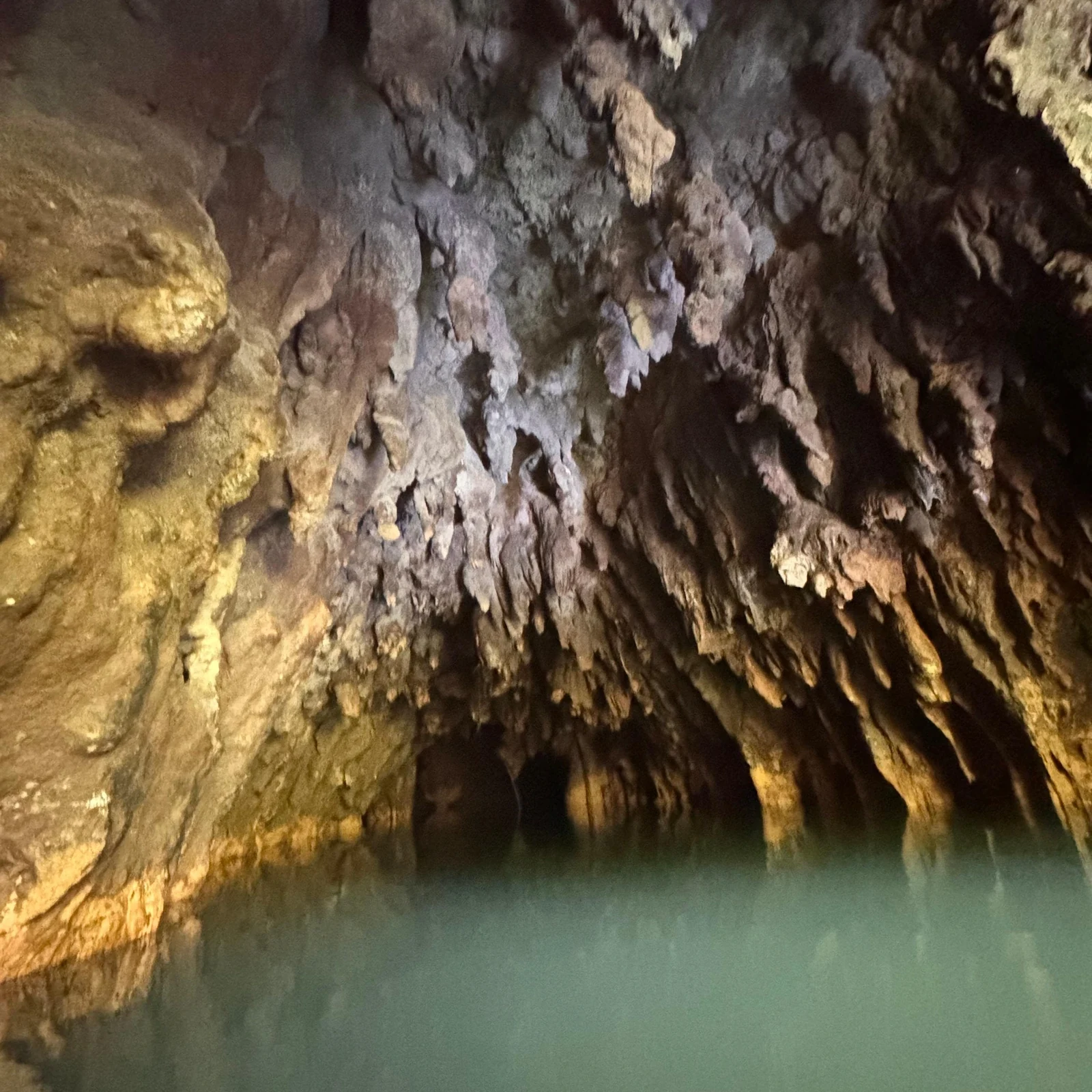 Waitomo ab Auckland: Höhlen, Guide und Bootsfahrt