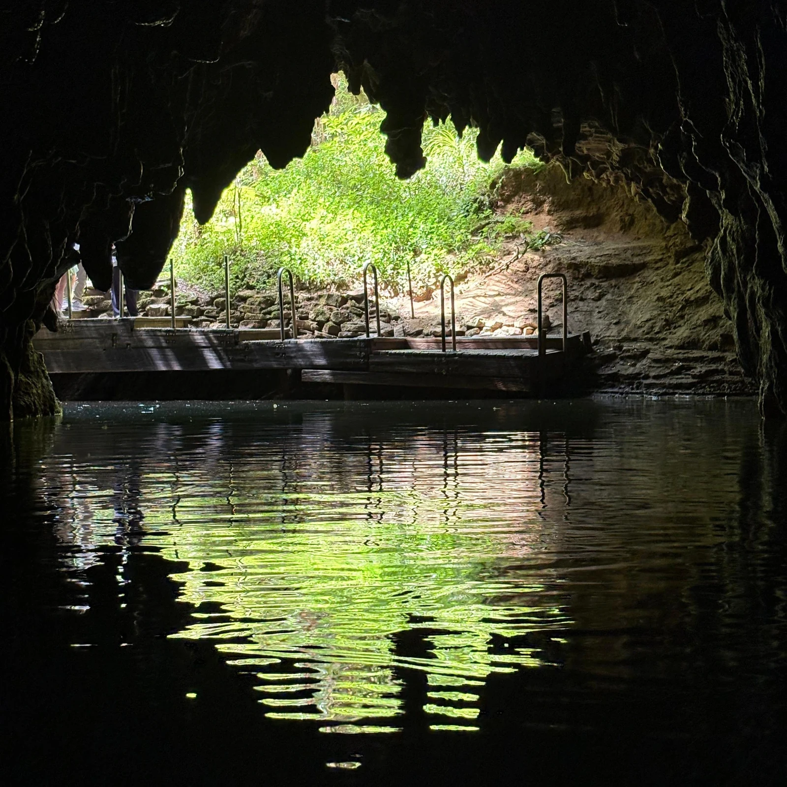Waitomo ab Auckland: Höhlen, Guide und Bootsfahrt