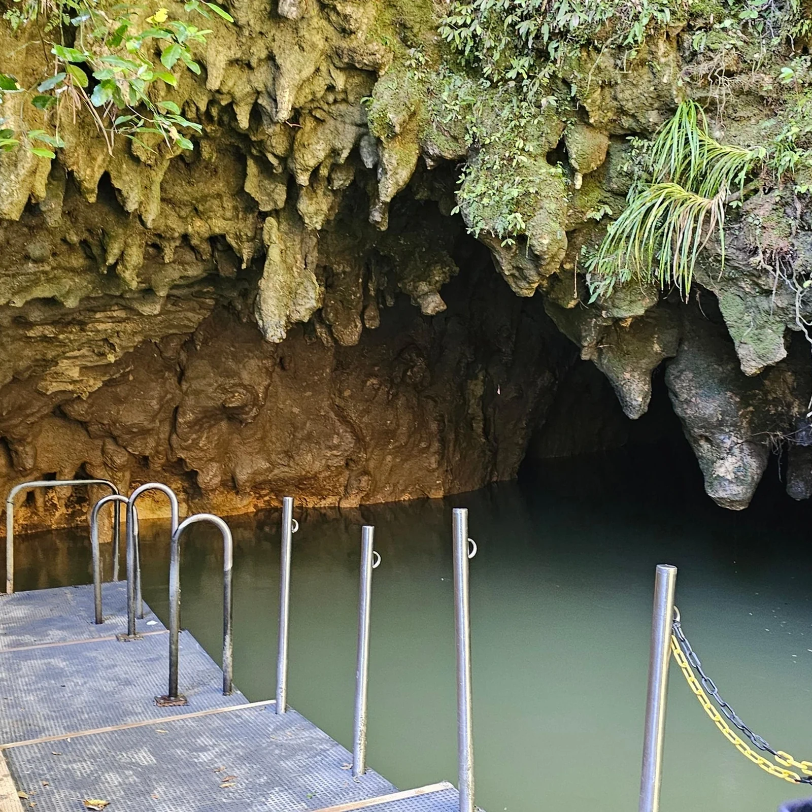 Waitomo ab Auckland: Höhlen, Guide und Bootsfahrt
