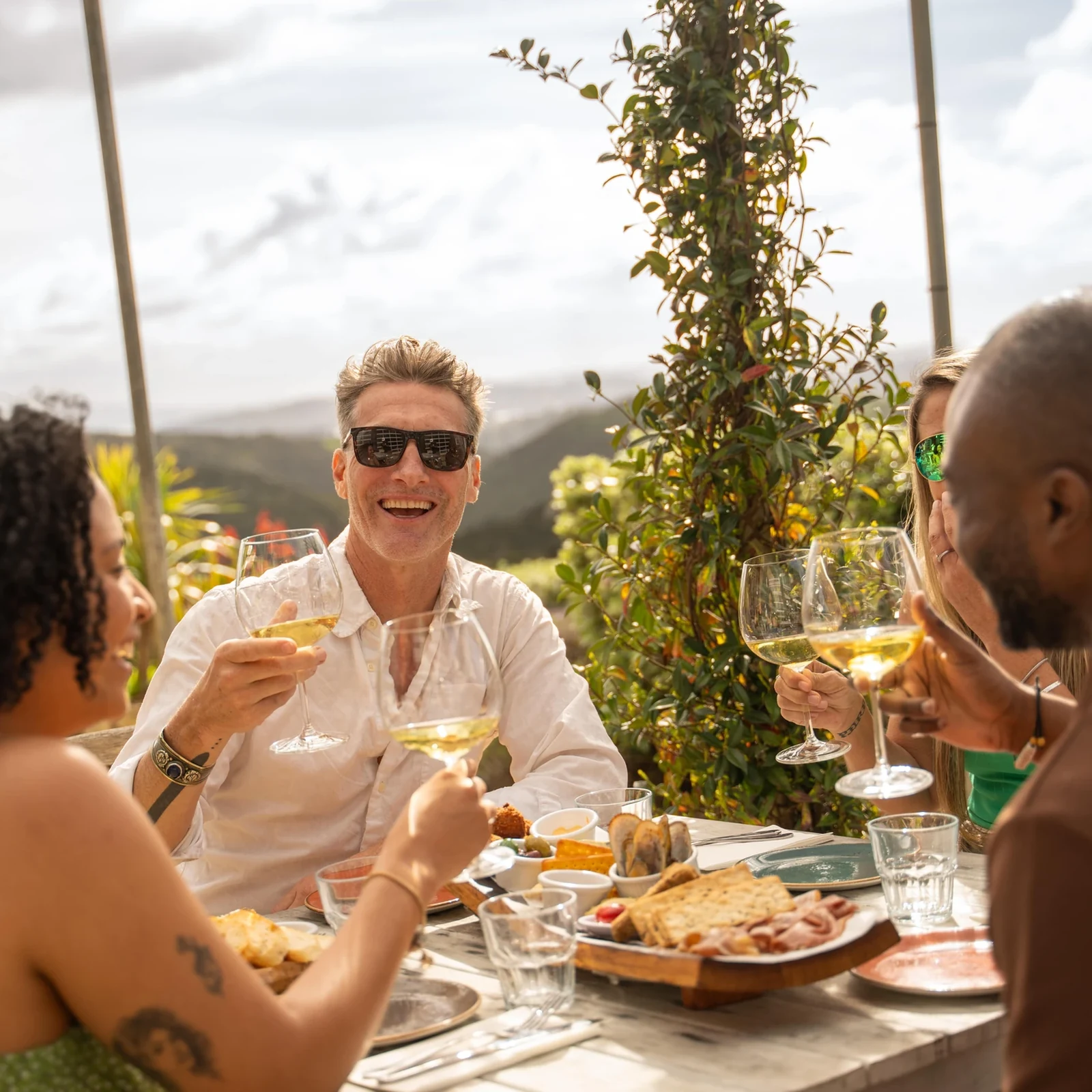 Tour de vinos por Waiheke Island desde Auckland con ferry y almuerzo