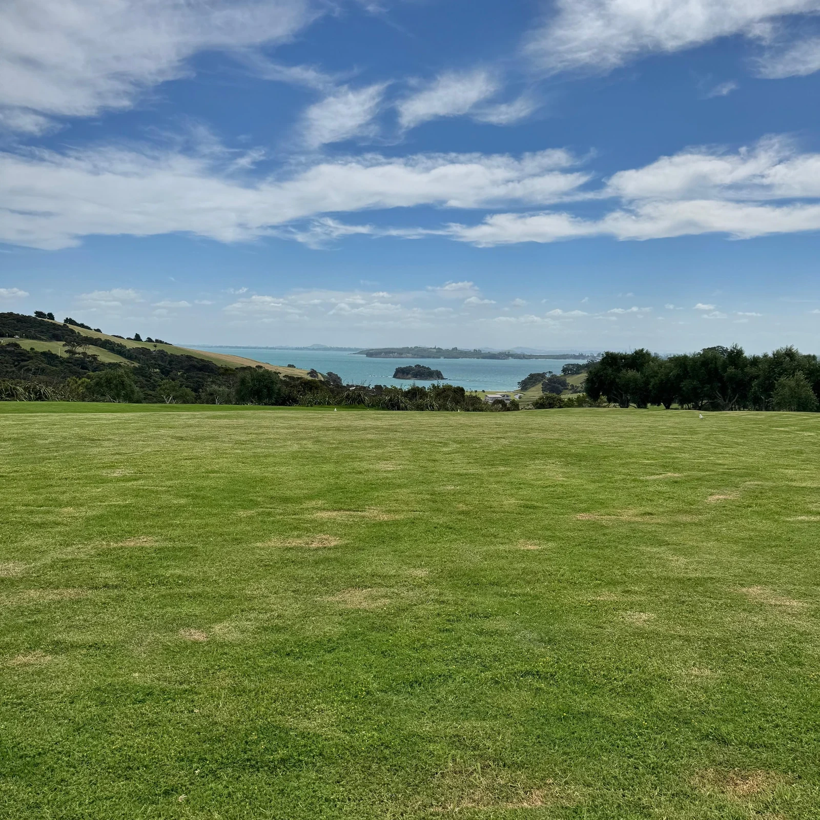 Excursion œnologique à Waiheke Island depuis Auckland avec ferry
