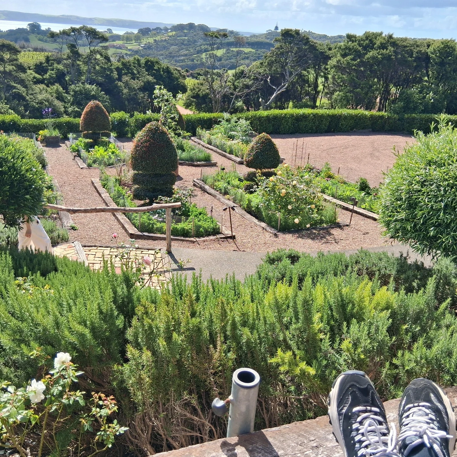Excursion œnologique à Waiheke Island depuis Auckland avec ferry