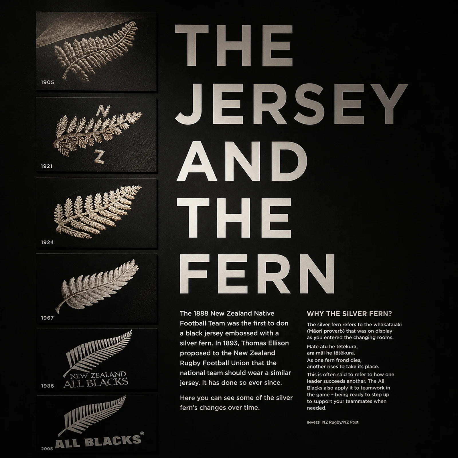 All Blacks Experience à Auckland : culture maorie, haka et rugby