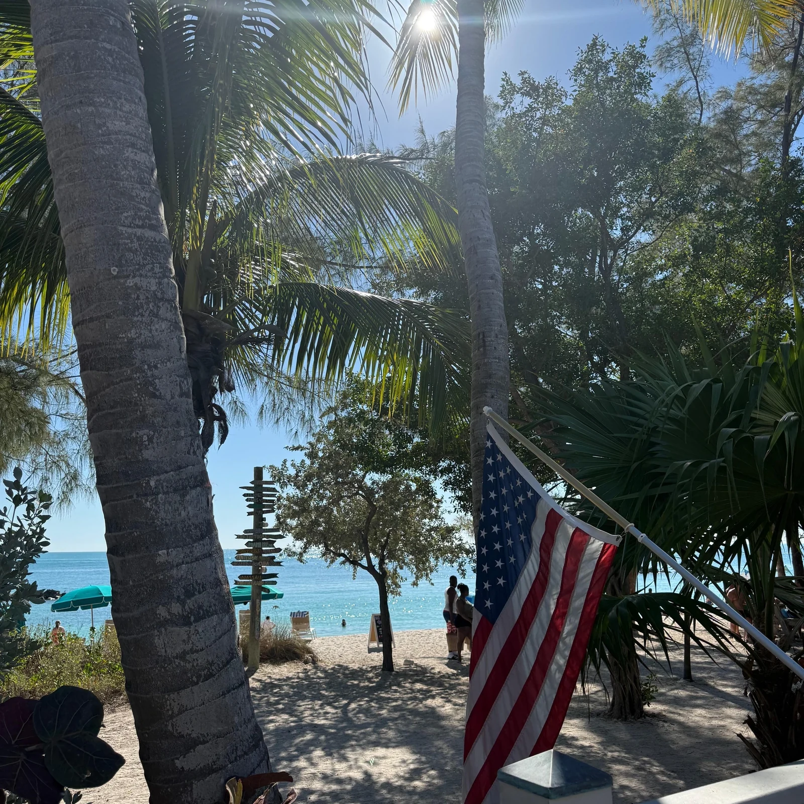 Excursion Miami-Key West : dauphins, snorkeling ou temps libre