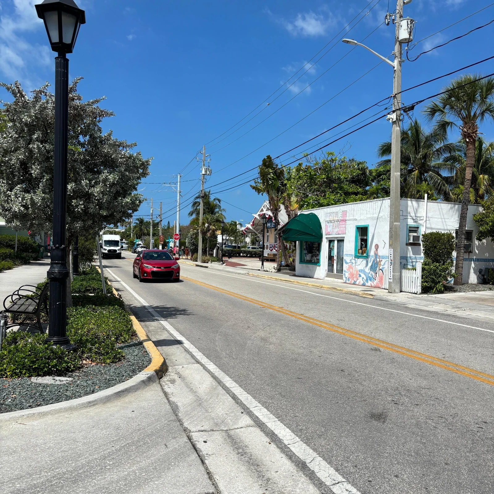 Excursion Miami-Key West : dauphins, snorkeling ou temps libre