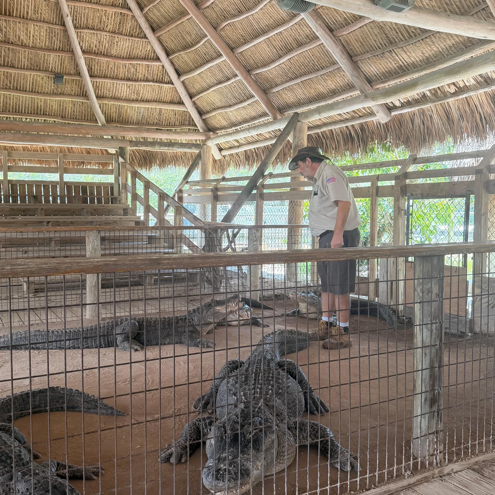 Les Everglades en hydroglisseur et spectacle d'alligators