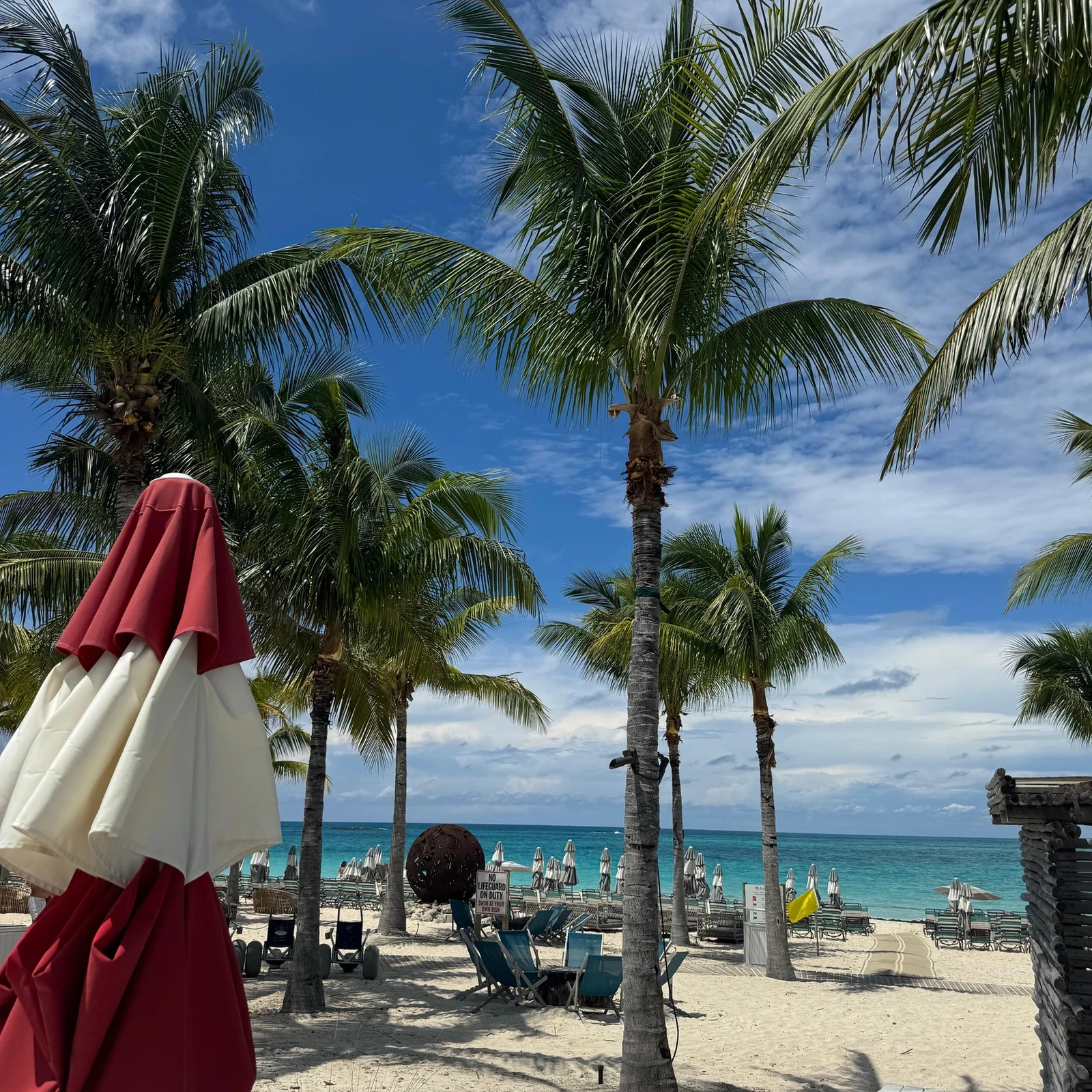 Excursión de Miami a Bimini en ferry desde Miami Beach: ¿merece la pena?