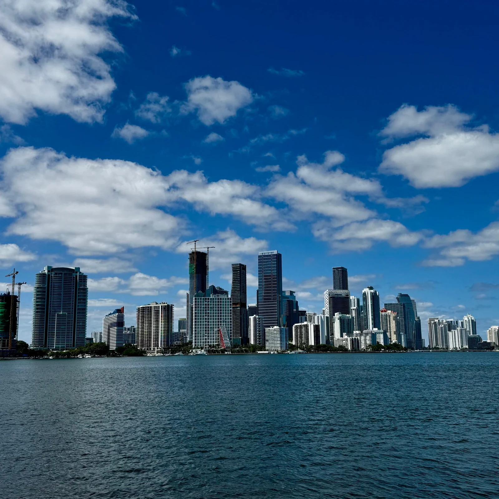 Miami zu Land und von der Biscayne Bay aus erleben