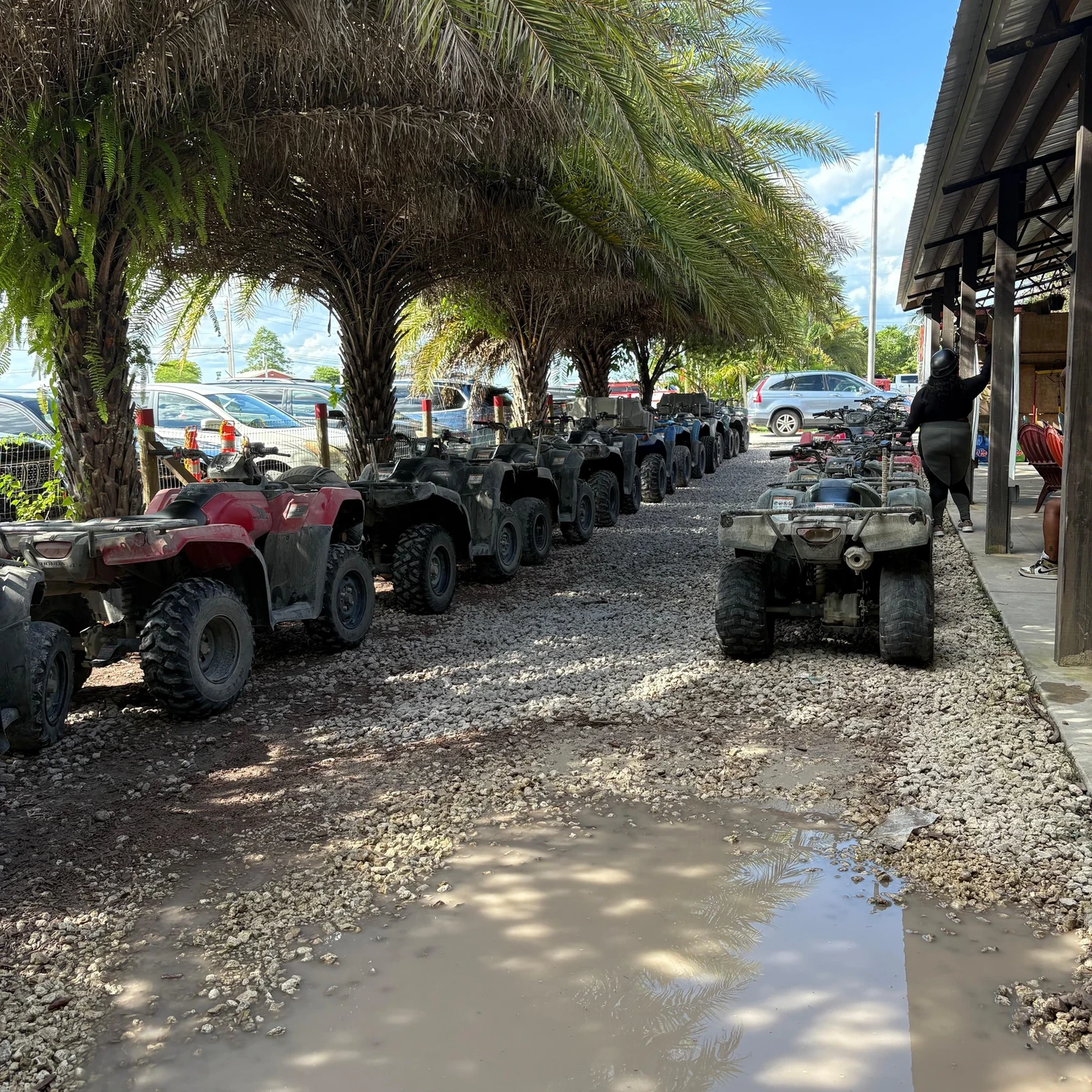 Excursion en quad tout-terrain à Miami : boue, aventure et photos incluses