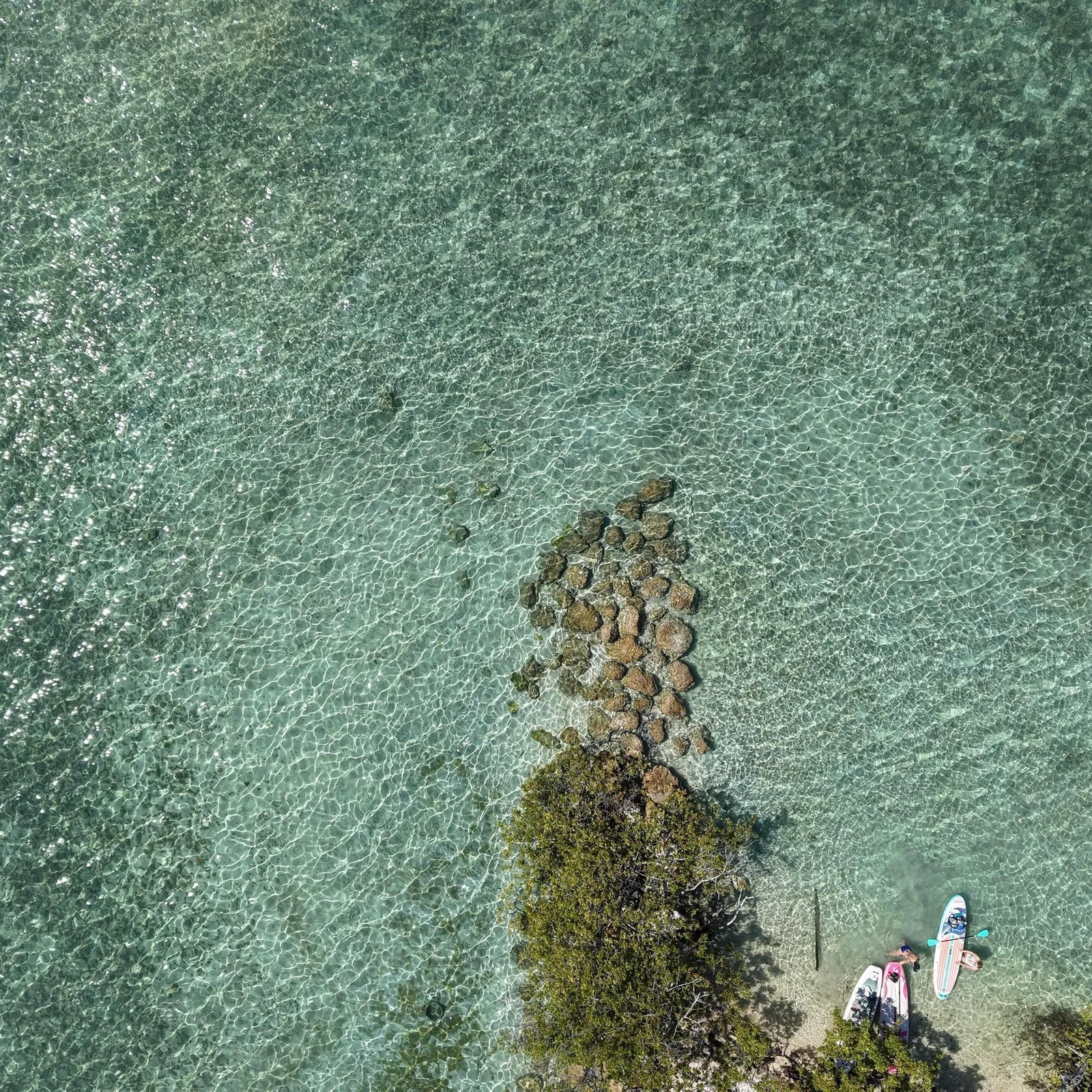 Raccoon Island Adventure à Miami