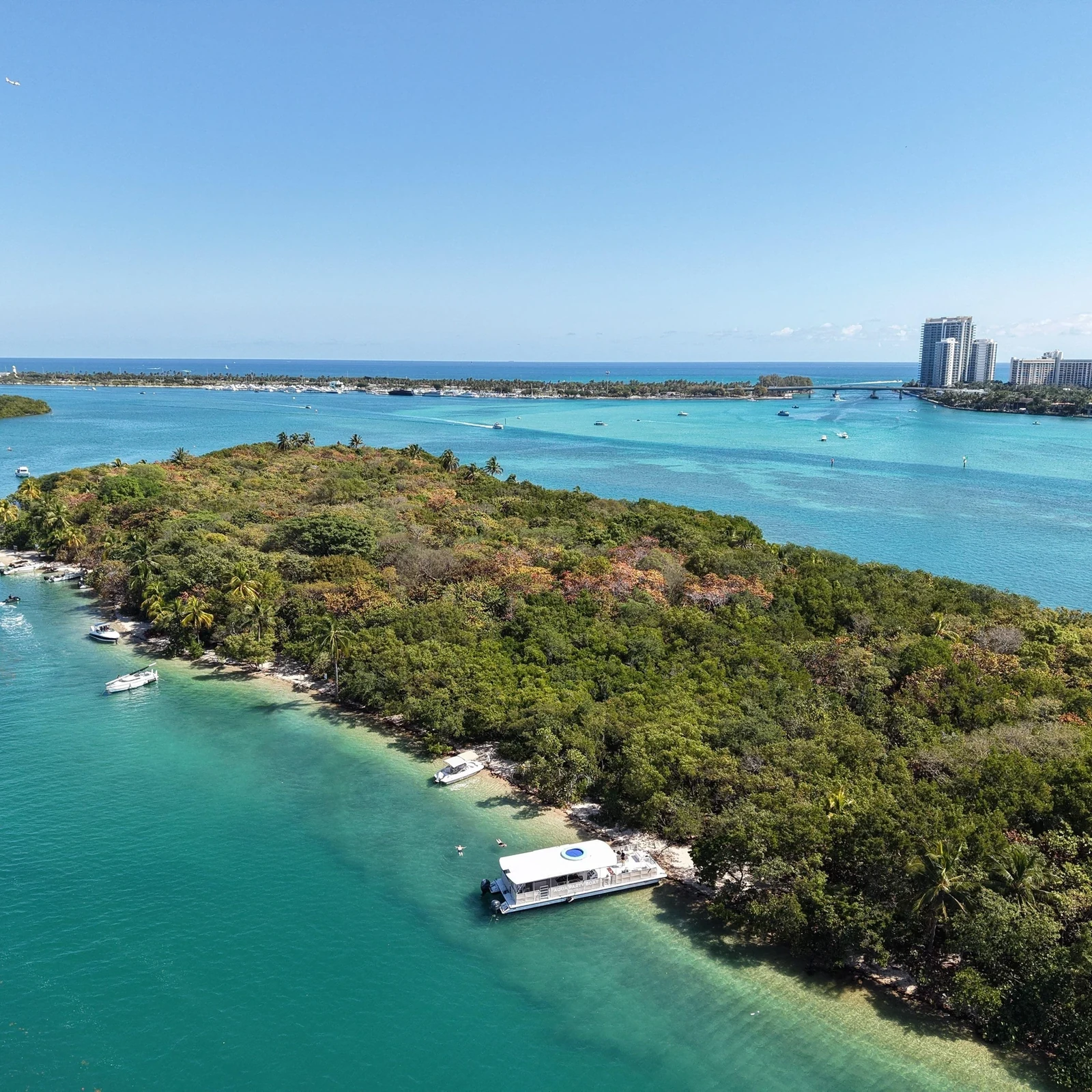 Raccoon Island Adventure à Miami