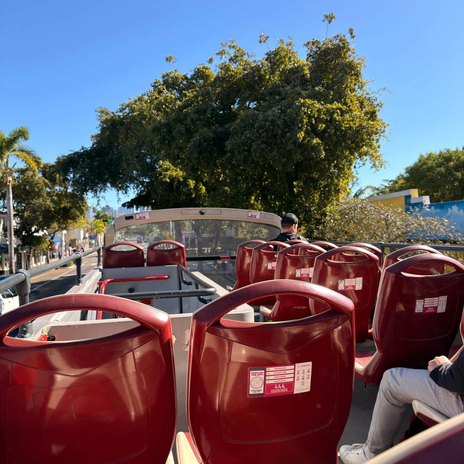 Tour en autobús hop-on hop-off por Miami con crucero opcional