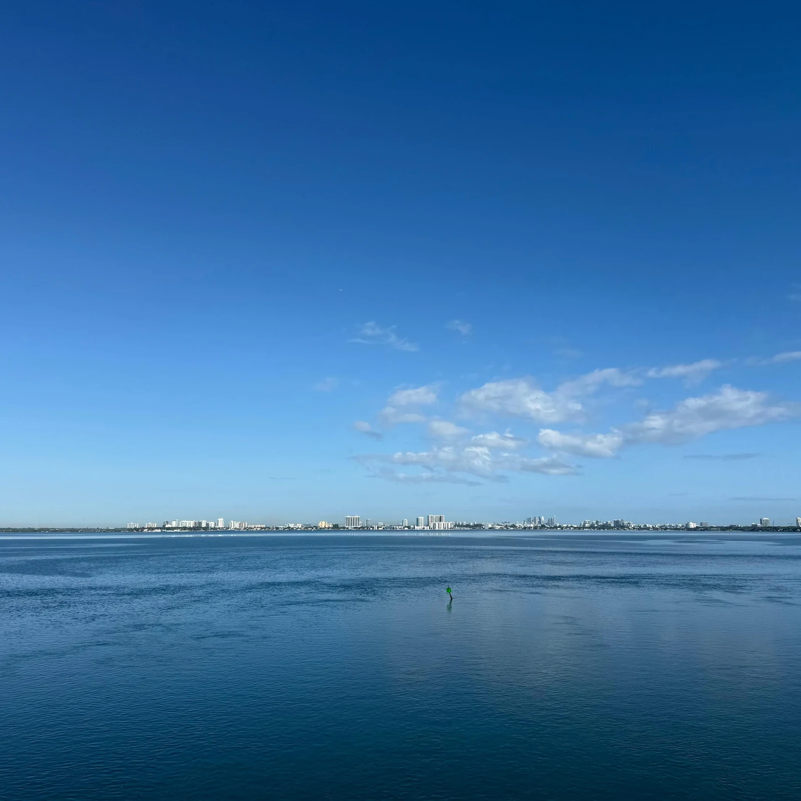 Entdecke Miami flexibel im offenen Panoramabus