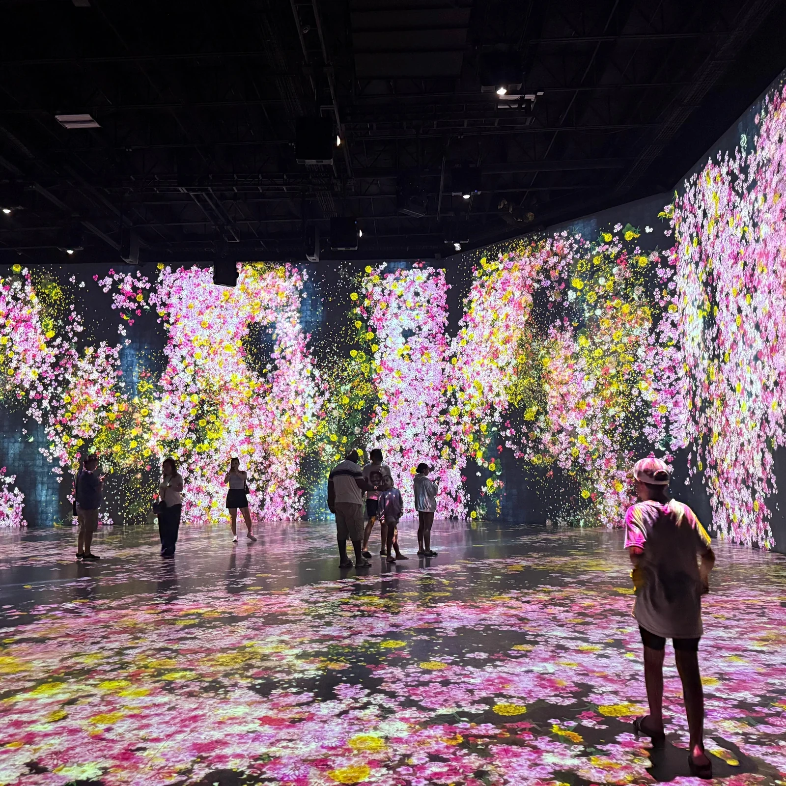 Superblue Miami: entrada para una experiencia de arte inmersivo e interactivo