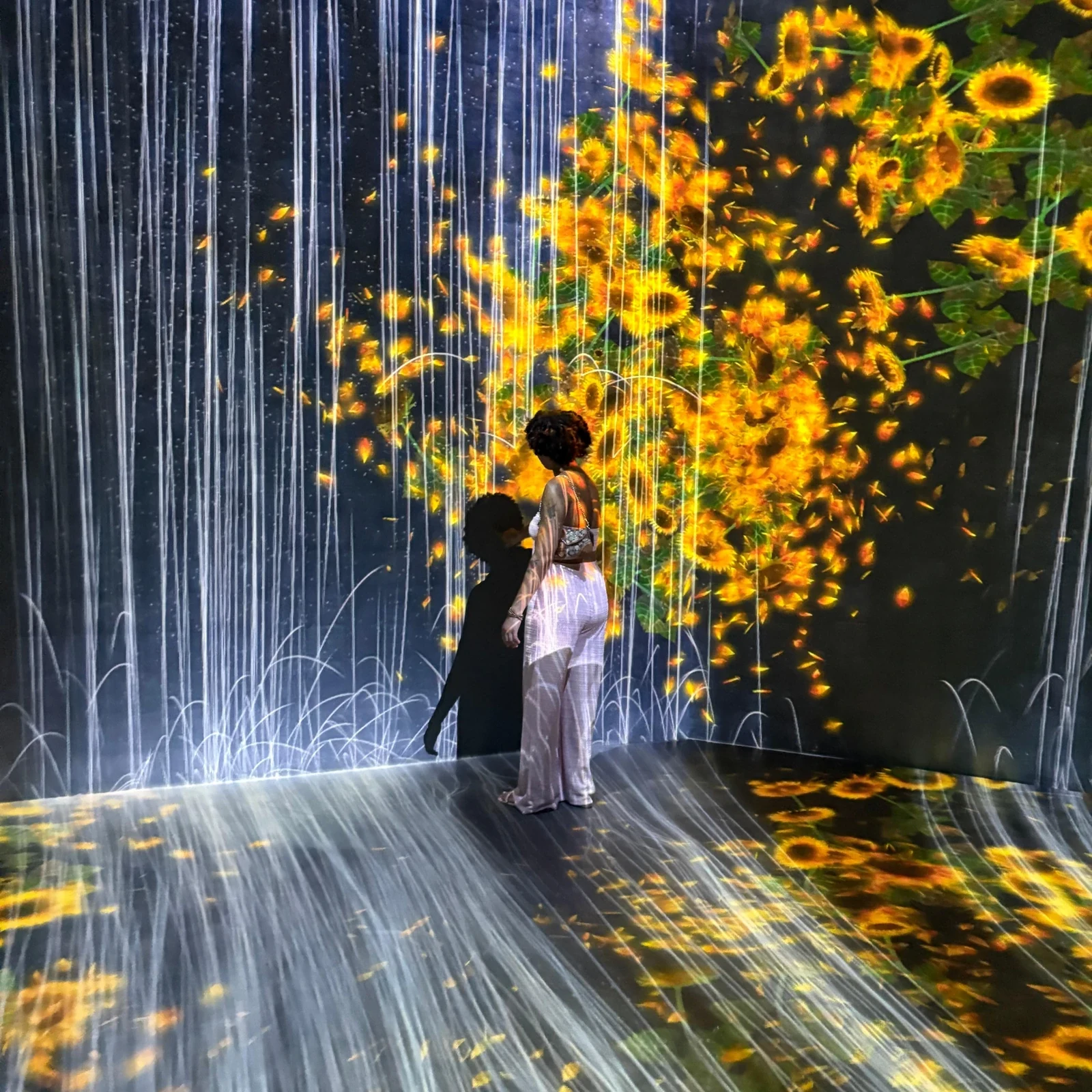 Superblue Miami: immersive Kunst, die auf dich reagiert