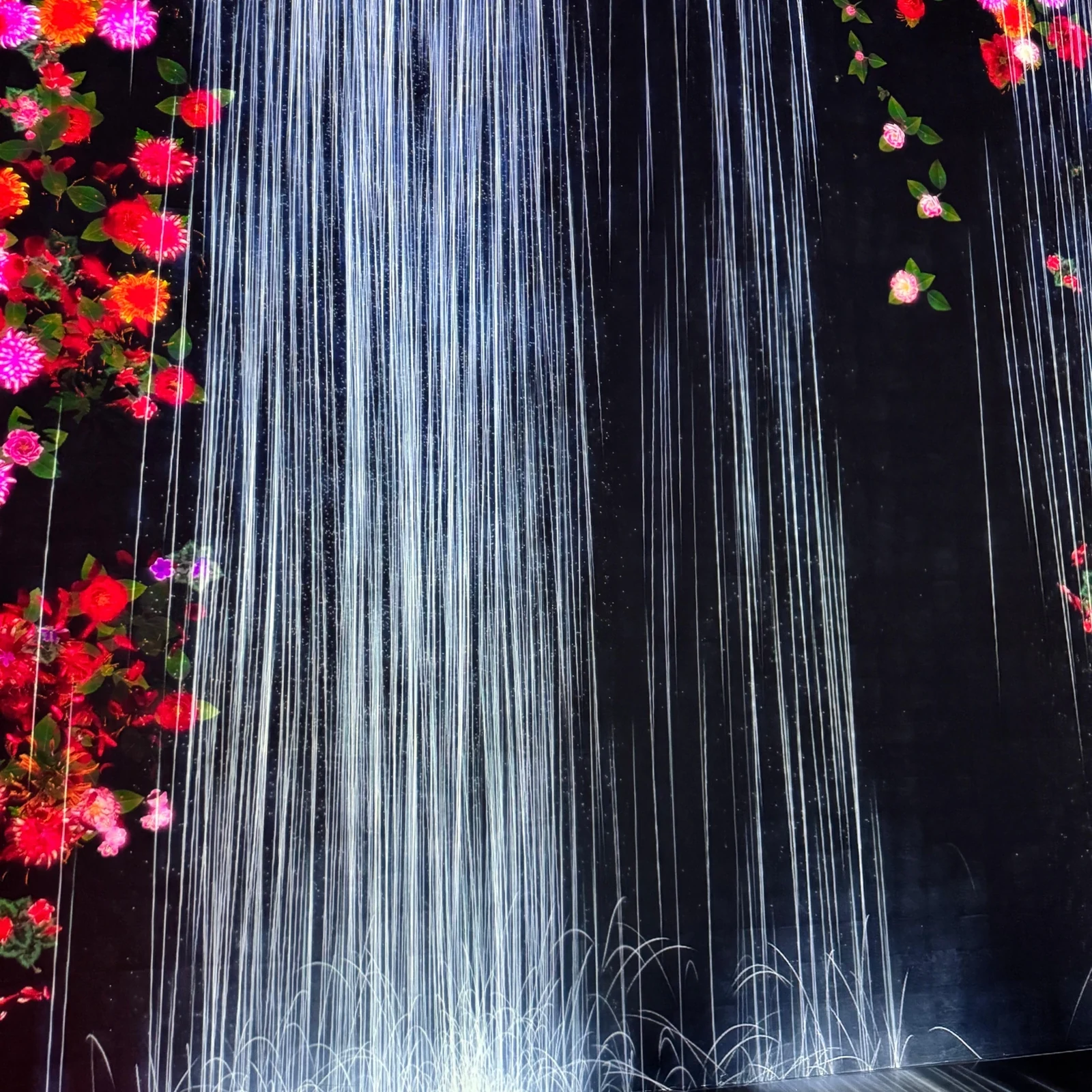 Superblue Miami: immersive art that responds to you